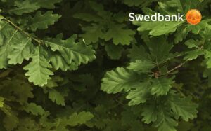 Swedbank
