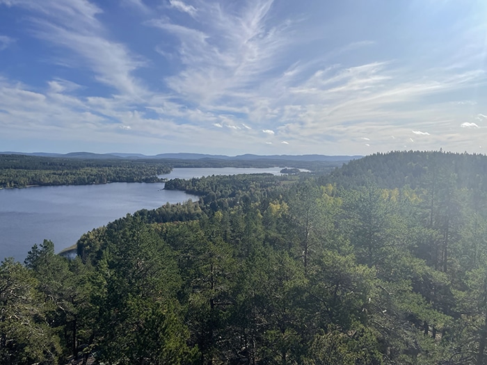 Tjuvberget vid Hälsingeleden