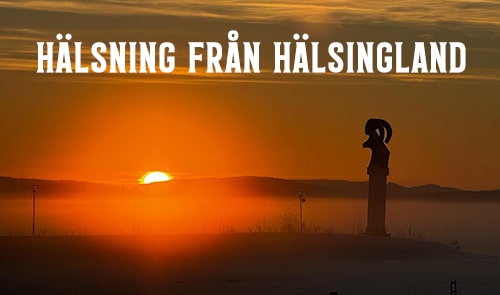 Hälsning från Hälsingland foto: vovvenjag