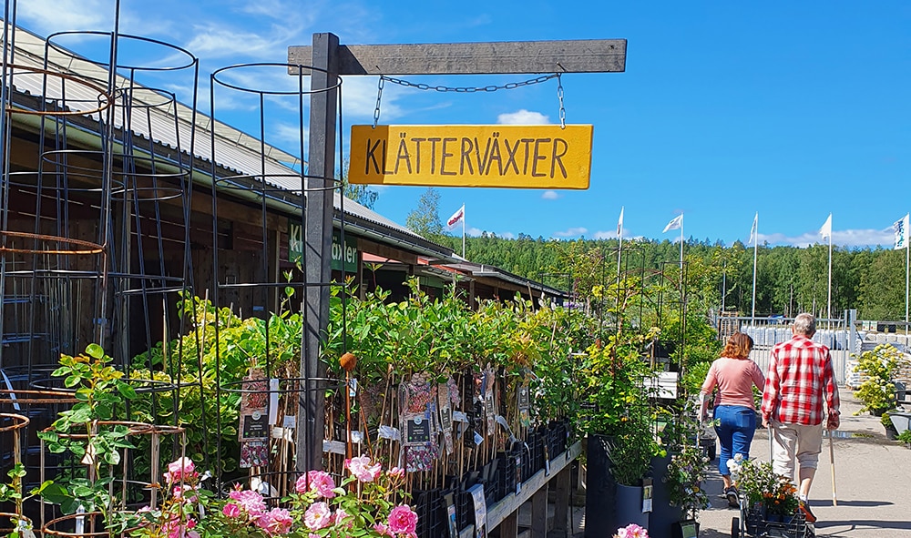 Mobackes Trädgårdscenter – en grön oas i Bollnäs, Hälsingland