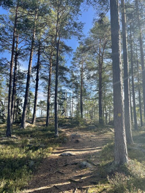 Vandra Tjuvberget Bollnäs