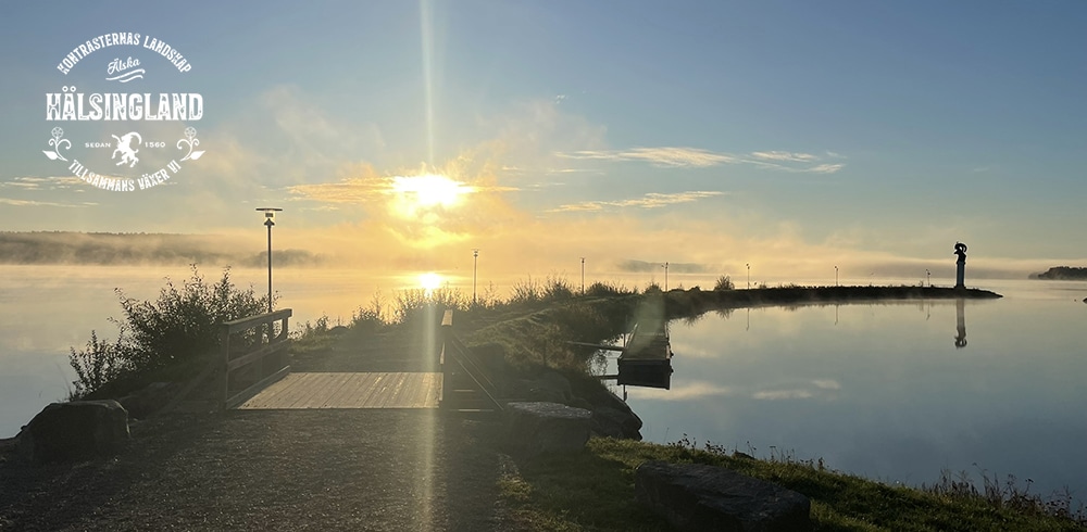 Inbjudan till Nätverksträff – Nya möjligheter för Hälsinglands besöksnäring!