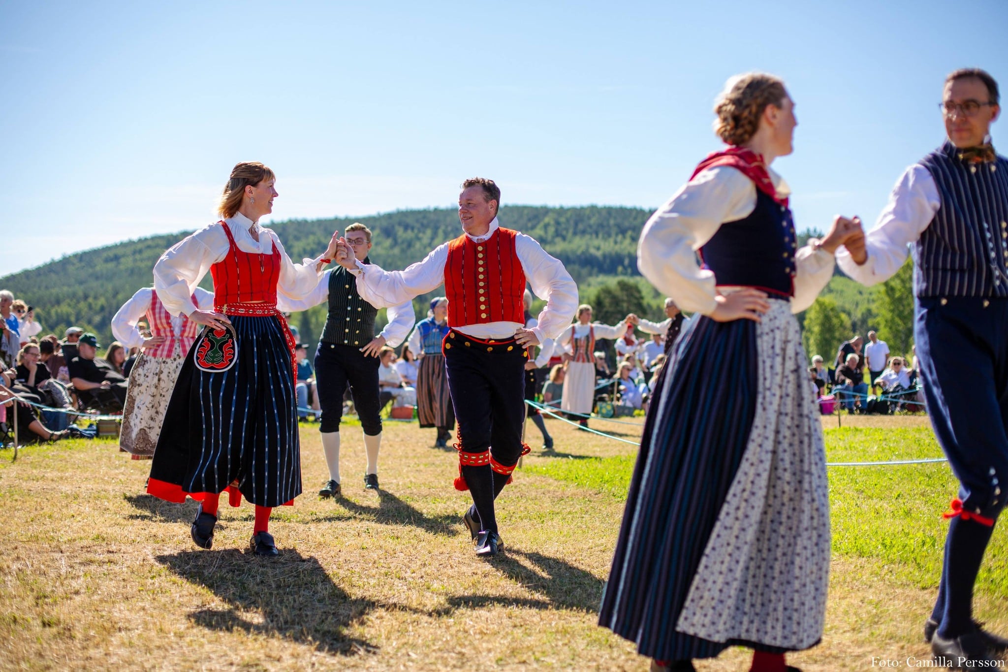 Hälsingehambon tar plats i Orbaden