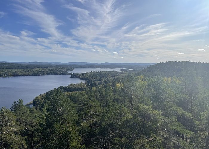 Tjuvberget vid Hälsingeleden