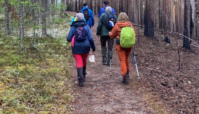 svagadalen34 Vandra i Svågadalen